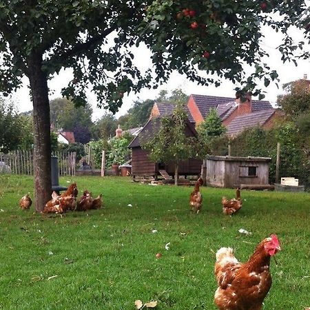 Cider Cottages Burley Luaran gambar